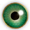 AIR OPTIX&reg; COLORS en verde